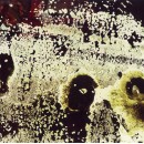 Atemporali topografie n. 5, 2010